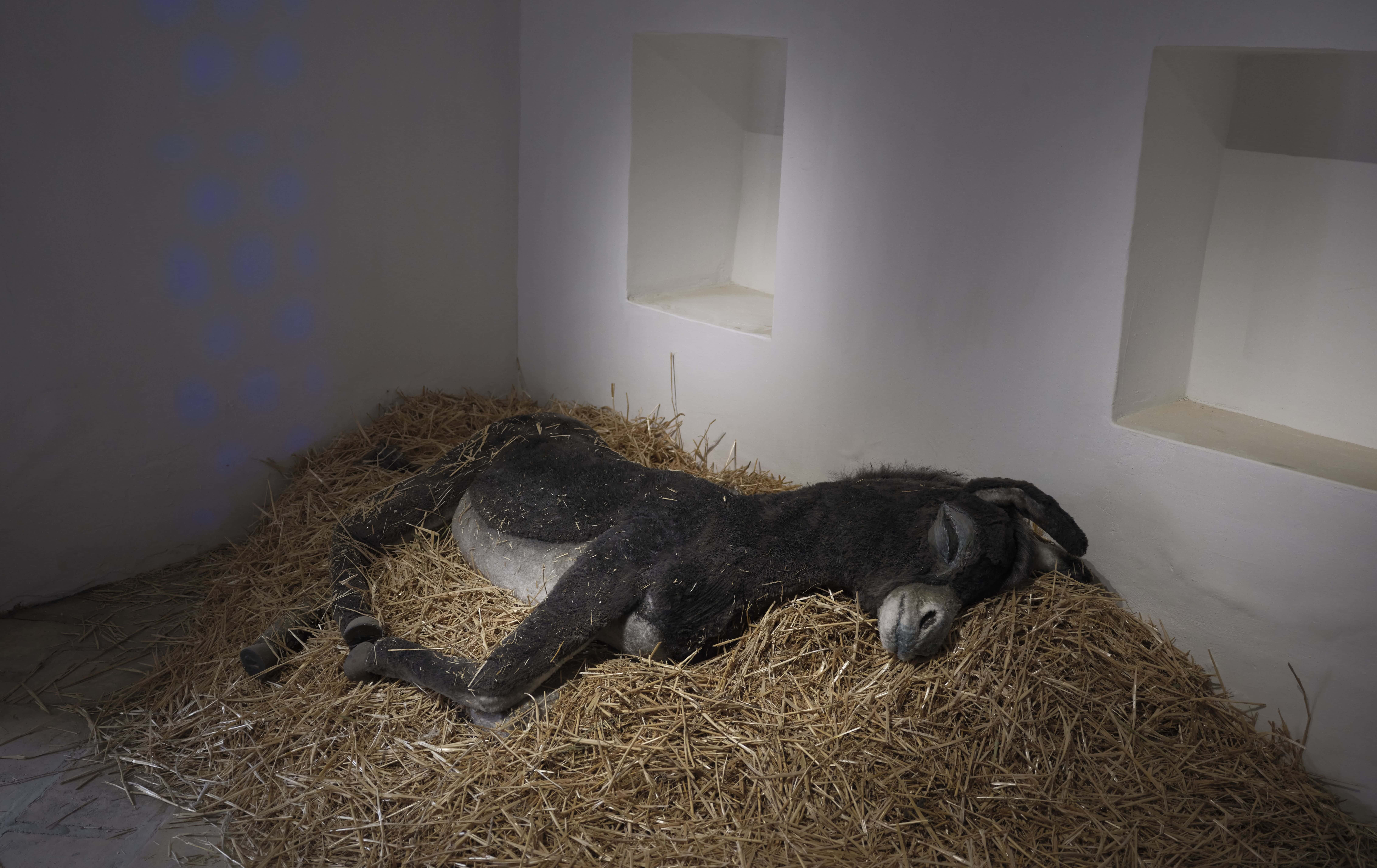 Artist talk: Majid Al Remaihi and Timur Zolotoev