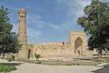 Through Bloom and Decay (Munisa Kholkhujaeva in collaboration with Anton Nozhenko)