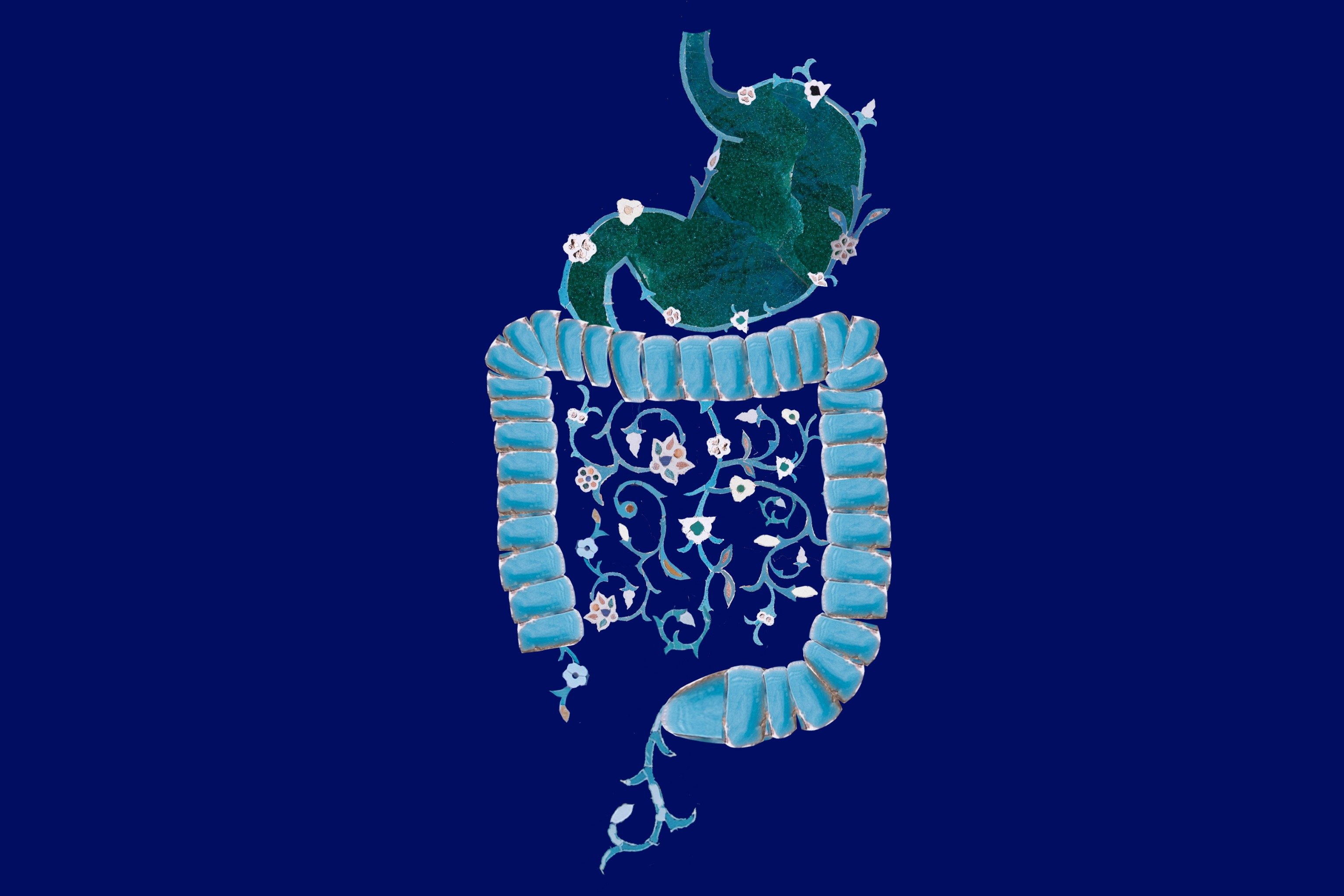 Carsten Höller and Diana Campbell