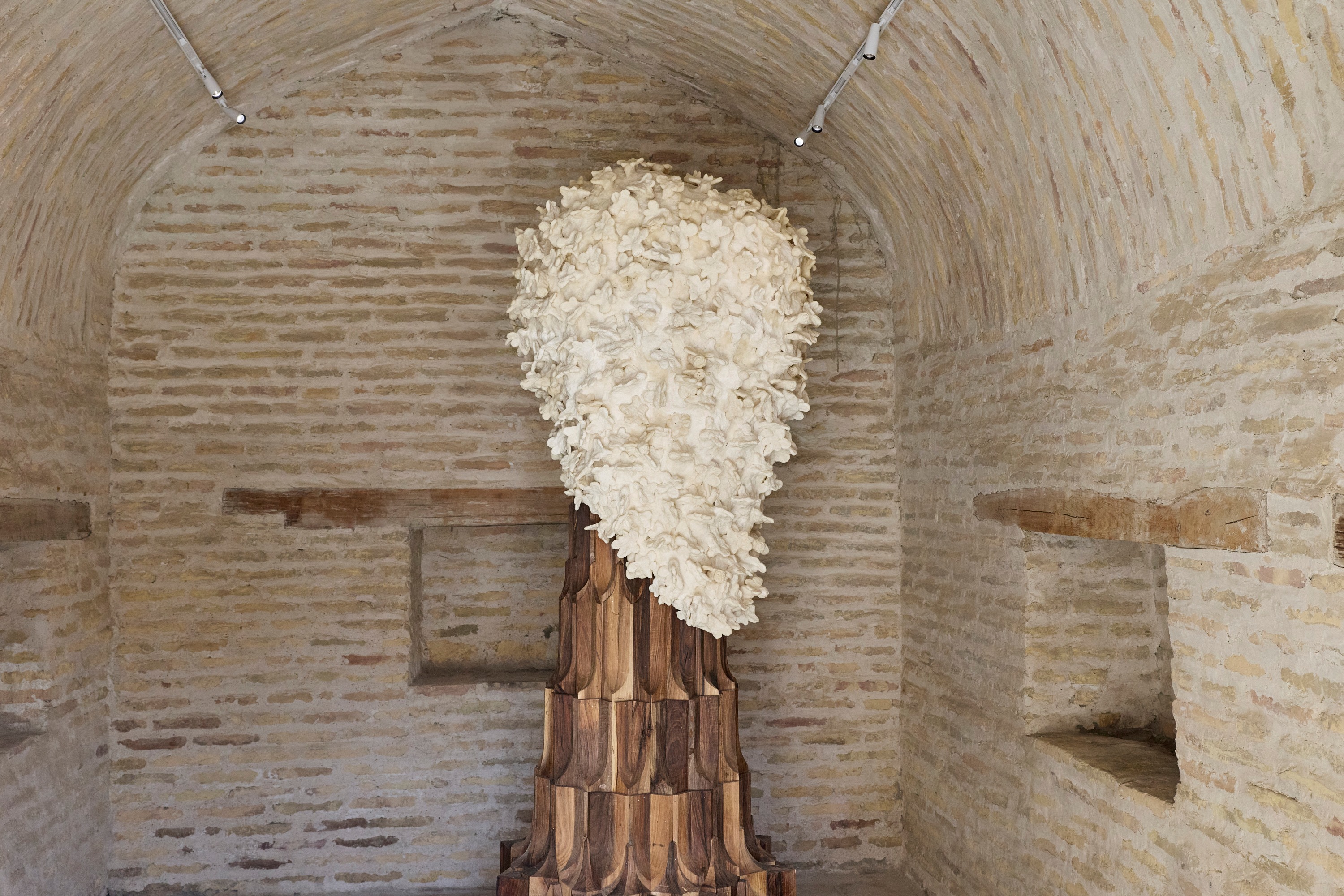 Artist image